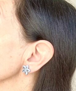 Alternative view of Aros Luni